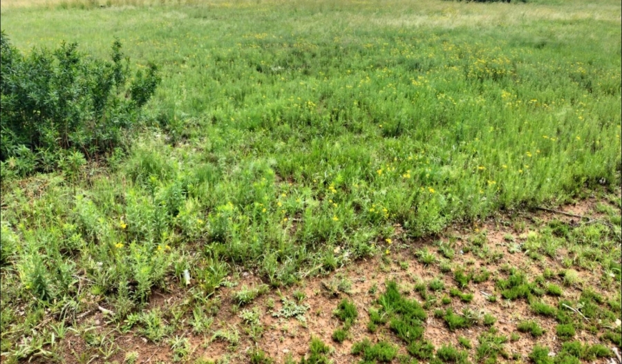 Commercial Property for Sale in Edenville Free State